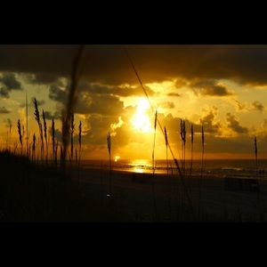 Meet your Posher, Lexi